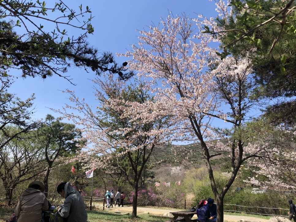 동방축산온천장점 이미지