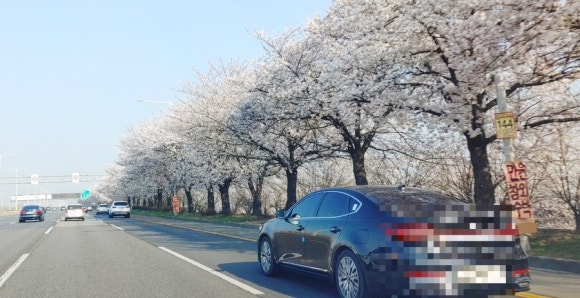 자유로셀프주유소 이미지