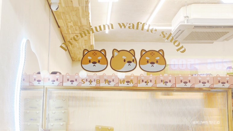 시바와플 이미지