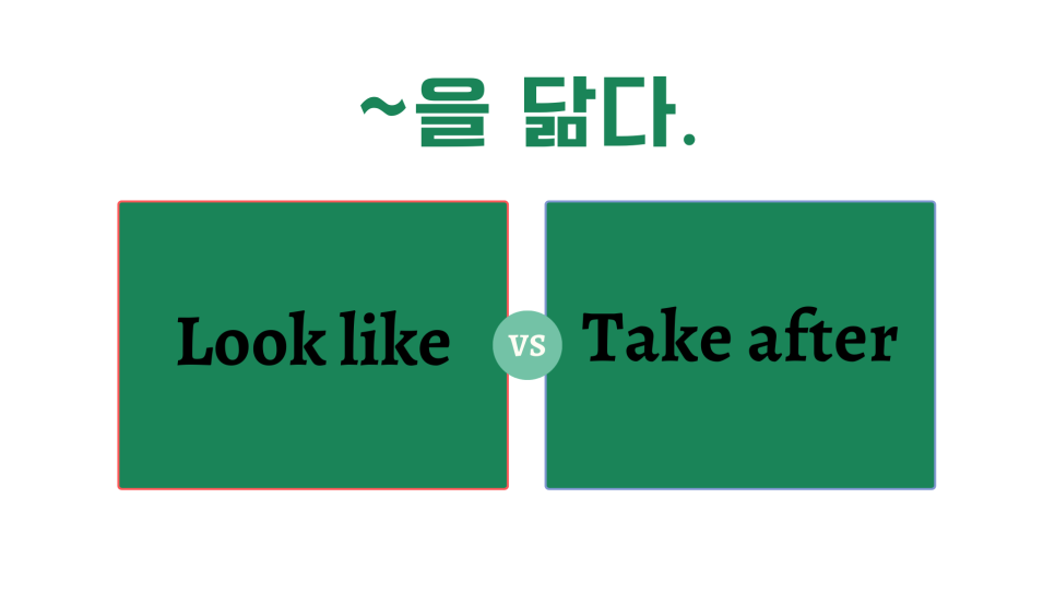 미:닮다 이미지