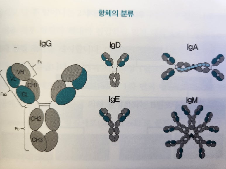 고려가정의학의원 이미지
