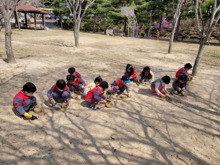정원숲어린이집 이미지
