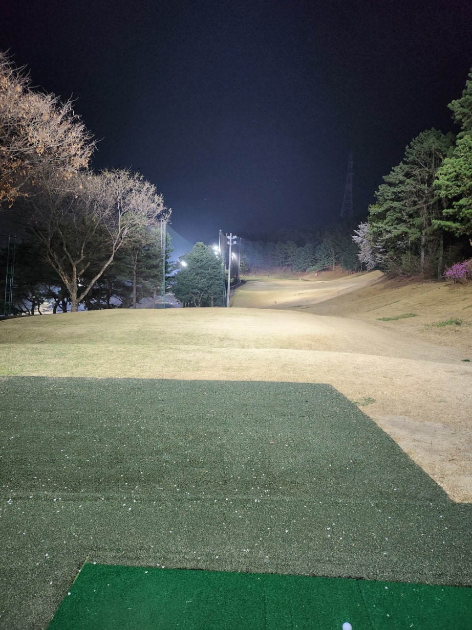 모듀스 이미지