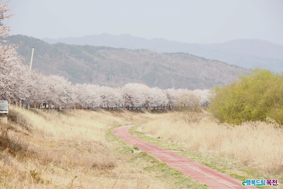 청산노래방 이미지