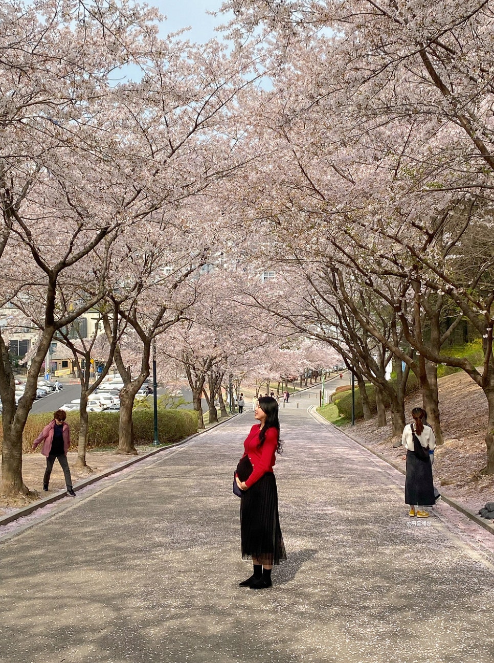 국시방 이미지