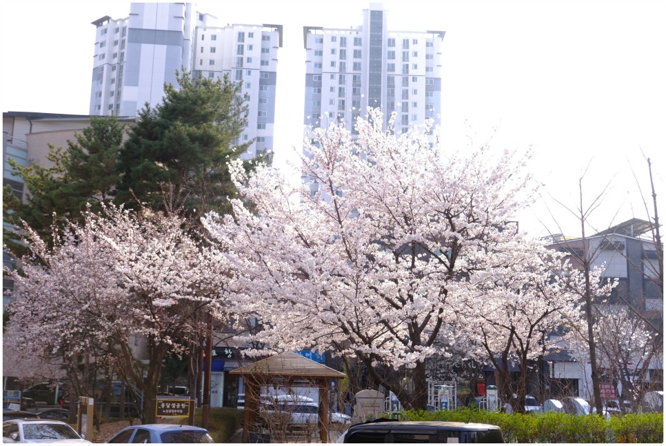 디테일링블리스 이미지