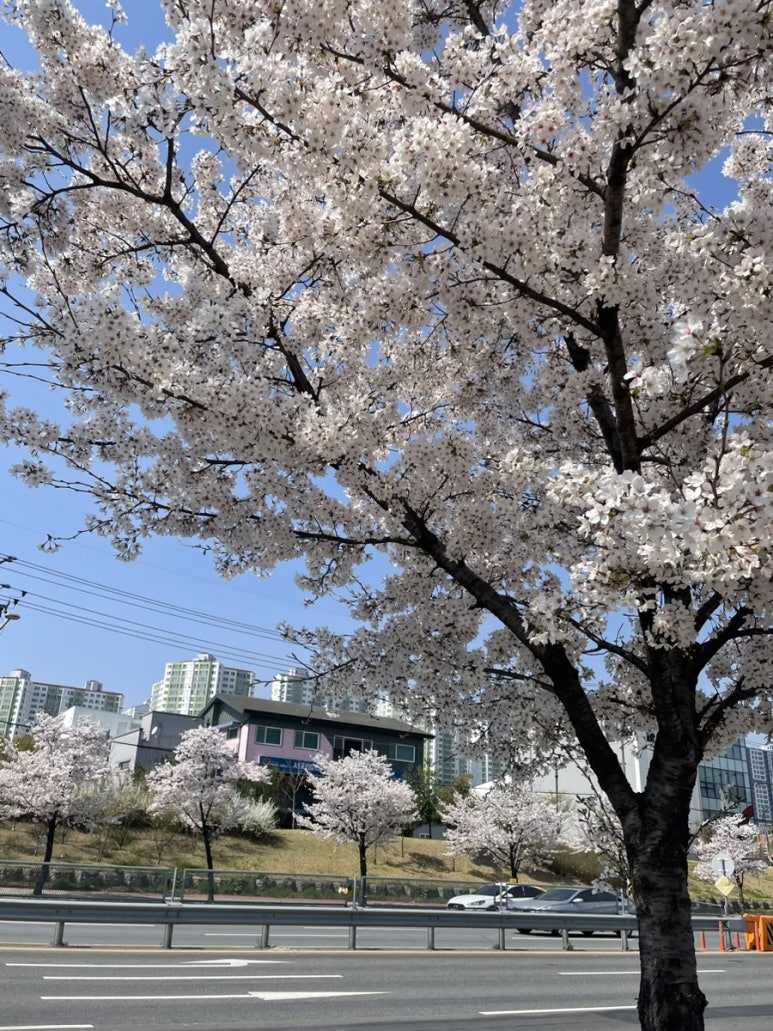 이리나 뷰티 이미지