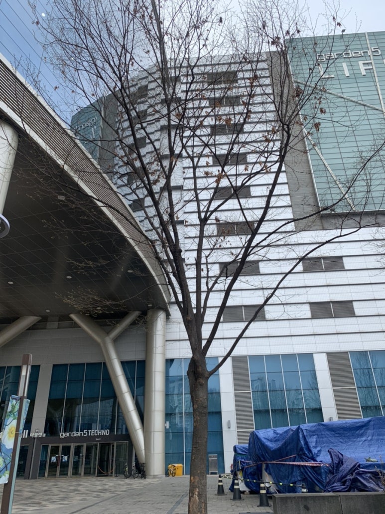 노리박스게임연구소 이미지