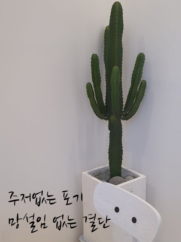 가온컨설턴트 이미지