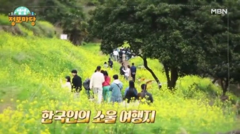 갈치마당 이미지