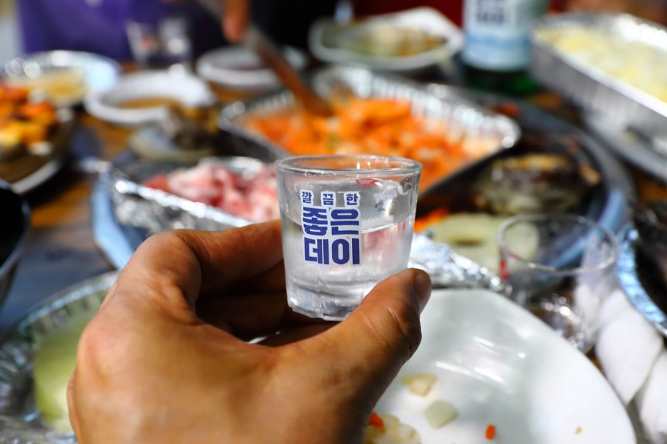 공원갈매기 이미지