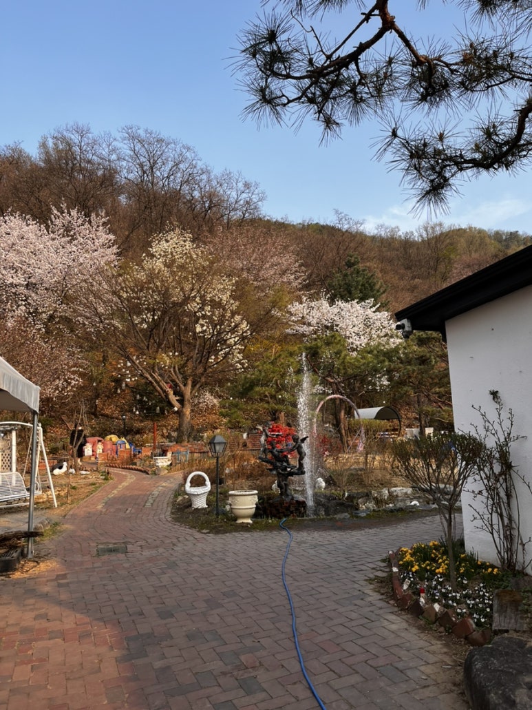 들밥식당 이미지