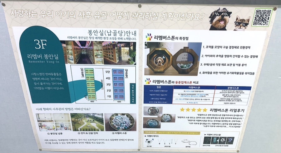 무지개장 이미지