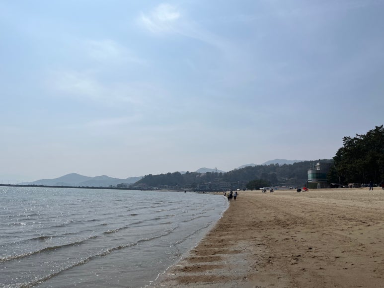 보성오토 이미지