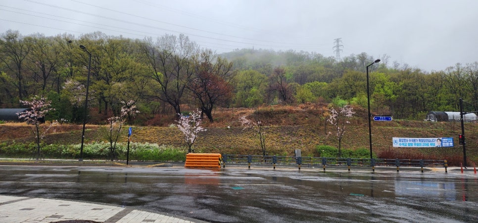 꽃내음 식탁 이미지