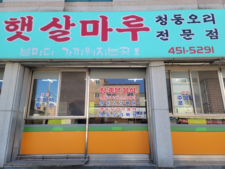 햇살마루청둥오리 이미지