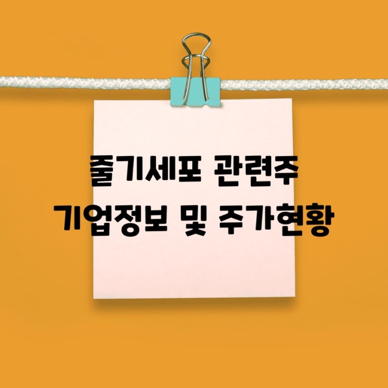 바이온 주식회사 이미지