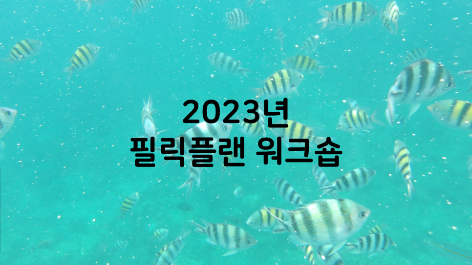 필릭플랜 이미지