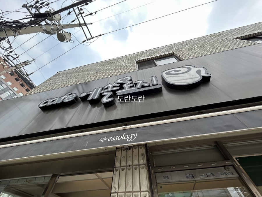 에쏠로지카페 이미지