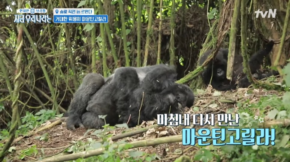 투어리즘인사이트 이미지