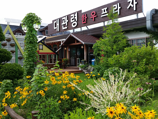 대관령일품한우 이미지