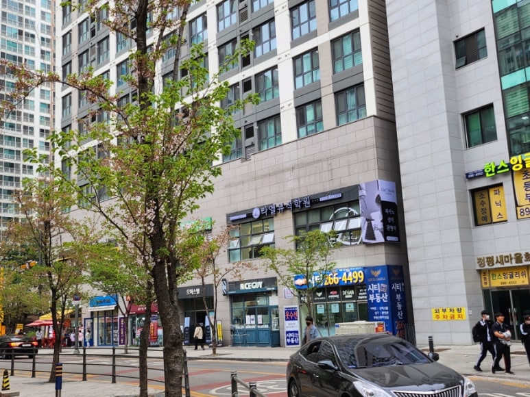 크린토피아성복 이미지