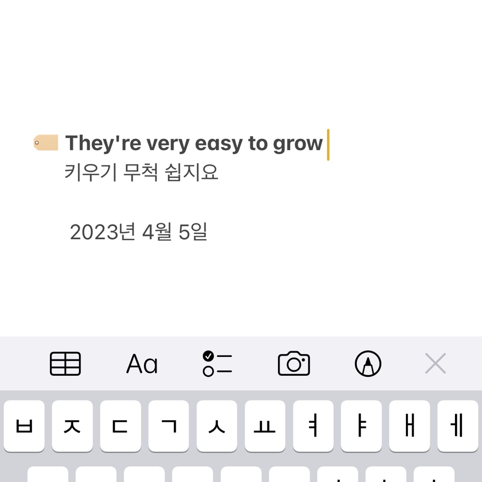자라다plant 이미지
