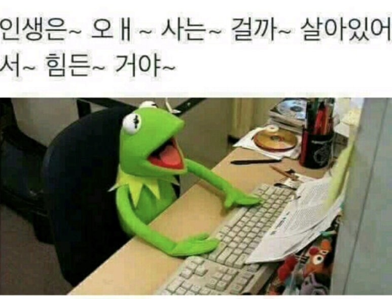 약손체형수기관리 이미지