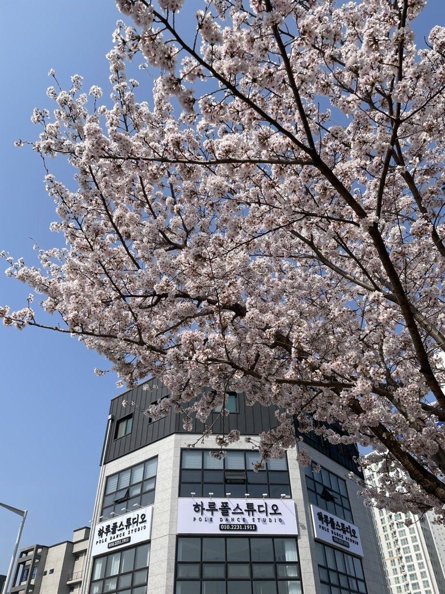 하루폴스튜디오 이미지