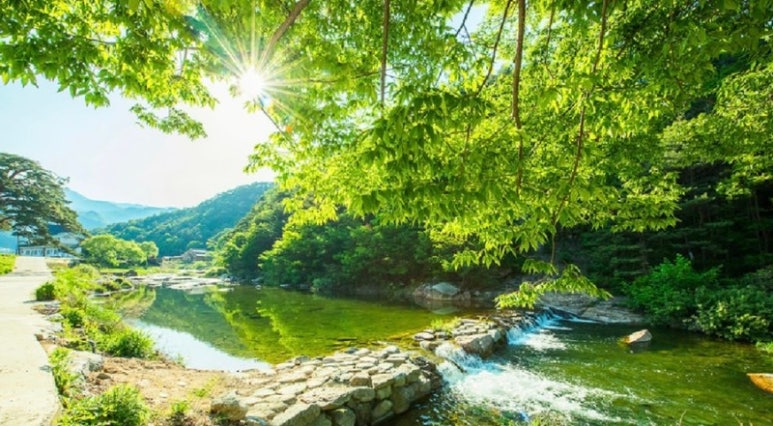 산수화펜션 이미지
