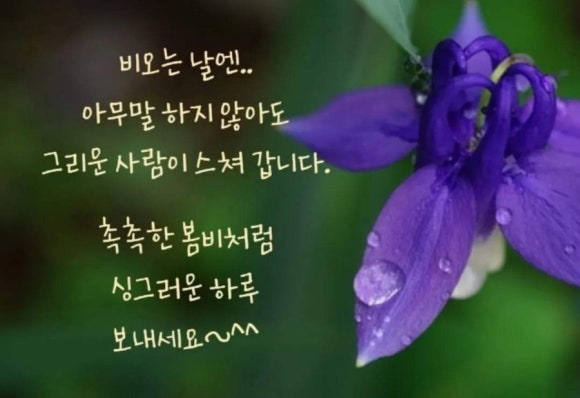 익산토종닭 이미지