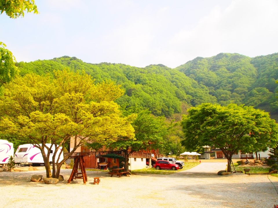 지리산 벚꽃 카라반 캠핑장 이미지
