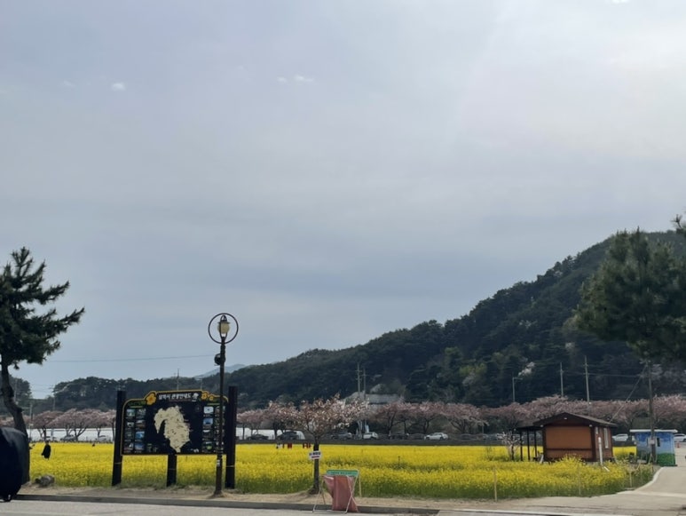 상맹방1리 이미지