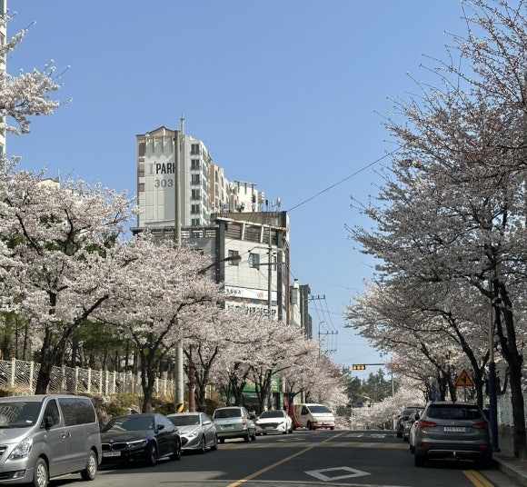 베이커스주 이미지