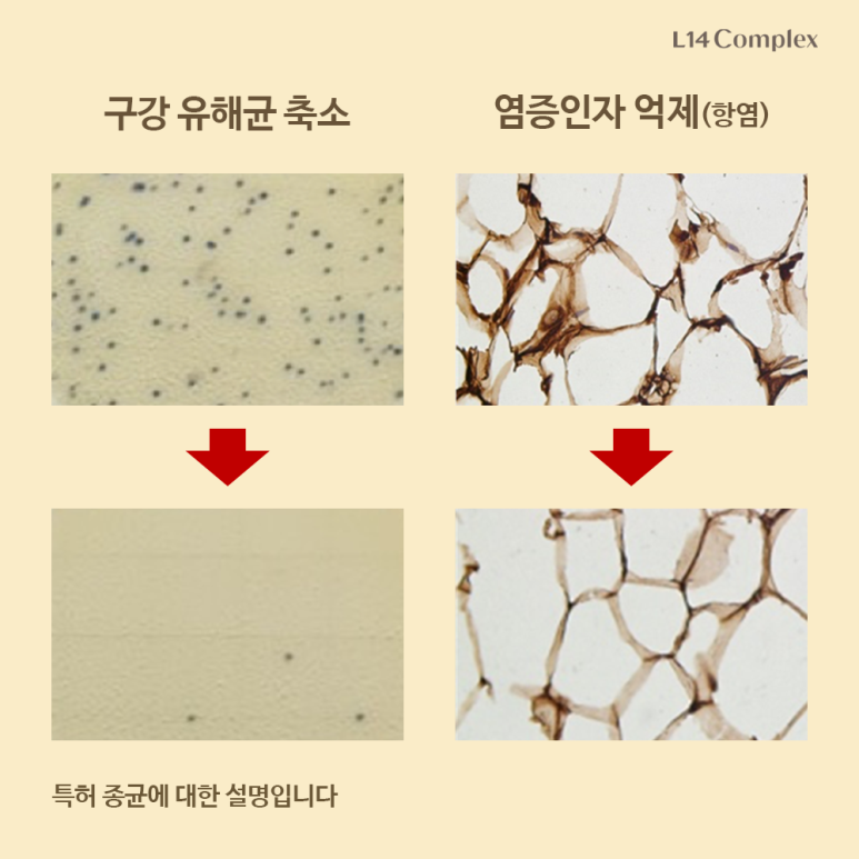네오리젠바이오텍 이미지