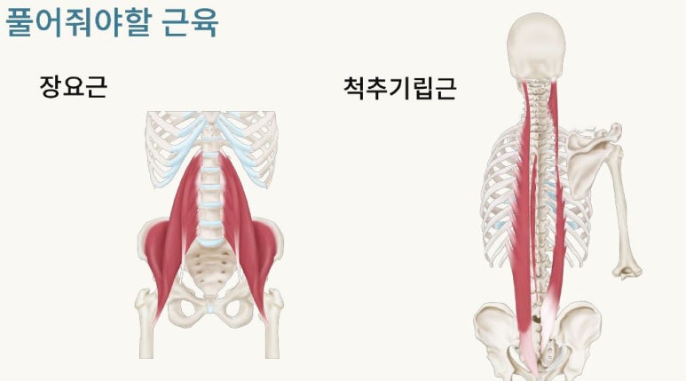 마천경희한의원 이미지