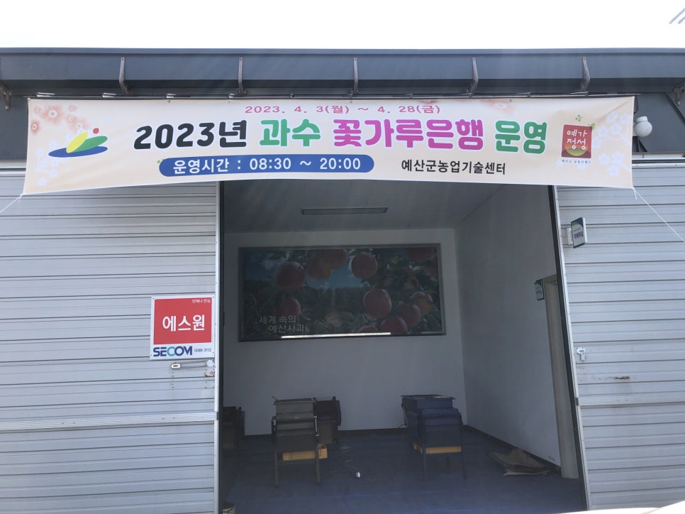예산꽃 이미지