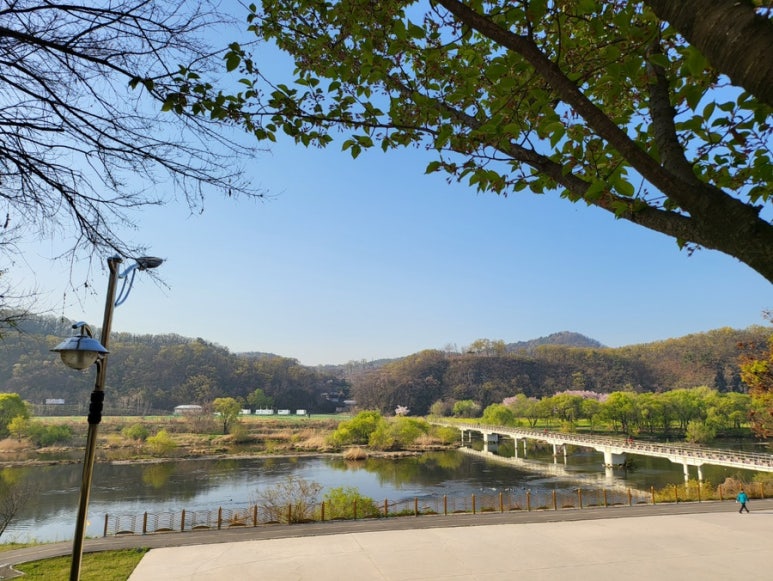 구야 이미지