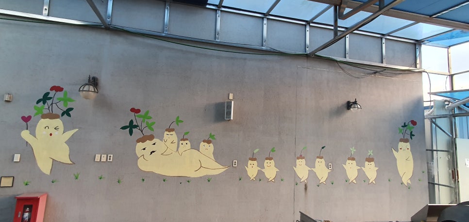 풍기선비골인삼시장 이미지