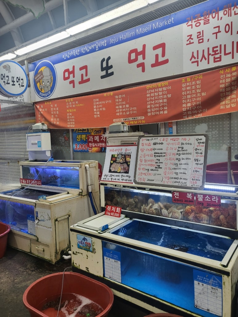 스테이소소호강 이미지