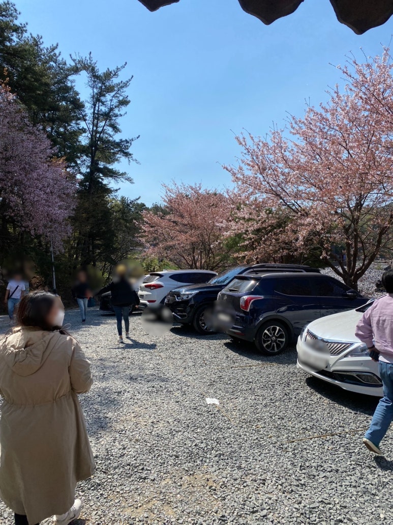 무라카데아구찜 이미지