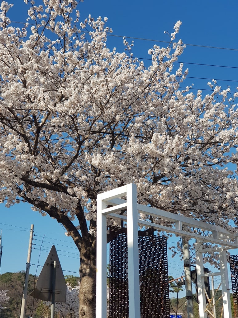 가산식물원 이미지