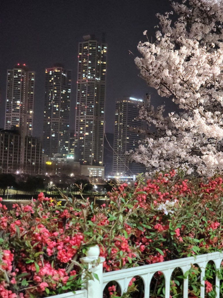 충훈매점 이미지