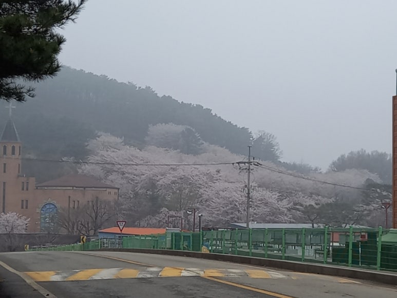 감리교회 옆 이미지