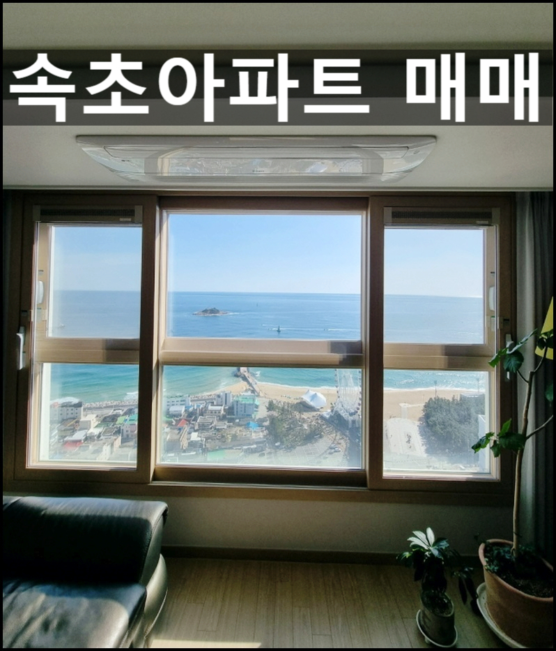 주식회사 청로 이미지