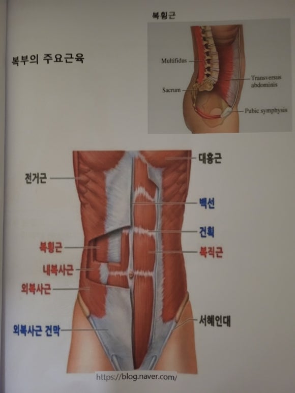 퀸스킨앤바디 이미지