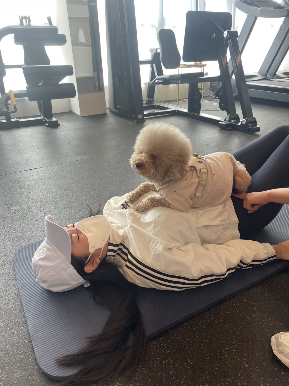 전신운동스트레칭 이미지