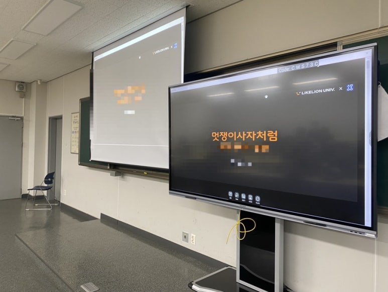 멋쟁이사 이미지