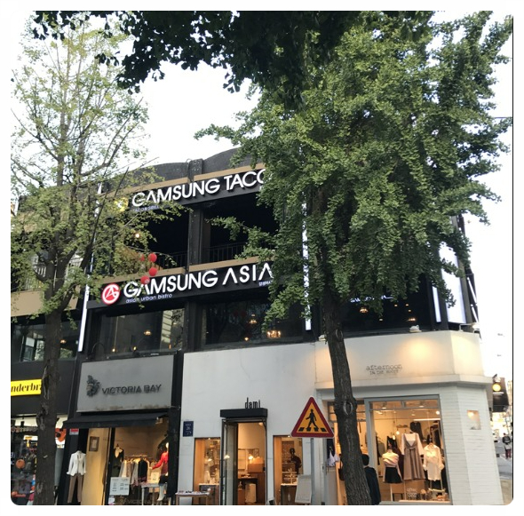 타코,봄 이미지
