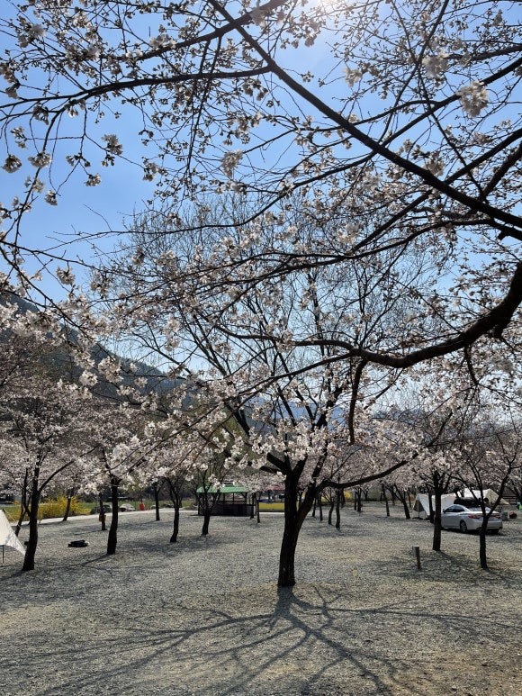 산솔 캠핑장 이미지